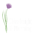 Chive Insight & Planning